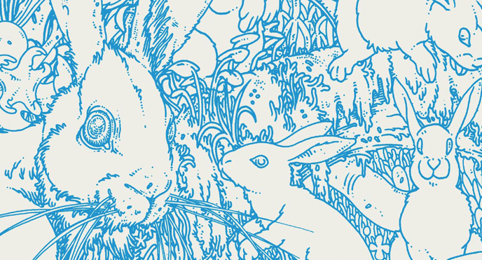 sdoau27argb5ounyuwrg